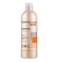 Шампунь Fortesse Professional Color Up & Protect Для фарбованого волосся Стійкість кольору 400 мл (4820000307376)