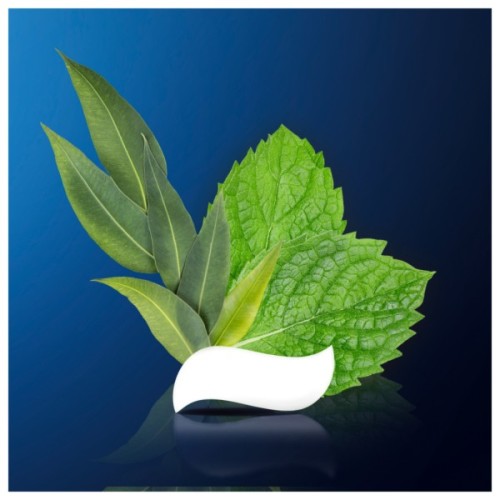 Зубна паста Oral-B Pro-Science Відновлення емалі Делікатне відбілювання 75 мл (8001090247582)