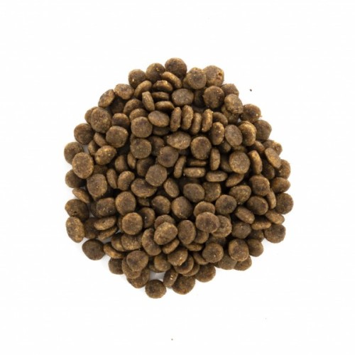 Сухий корм для кішок Brit Care Cat GF Sensitive HDigestion and Delicate Taste 2 кг (8595602540709)