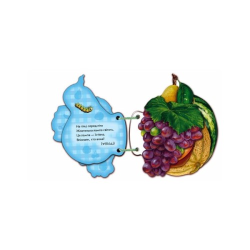 Книга Наш сад - Ірина Сонечко Ранок (9789663133706)