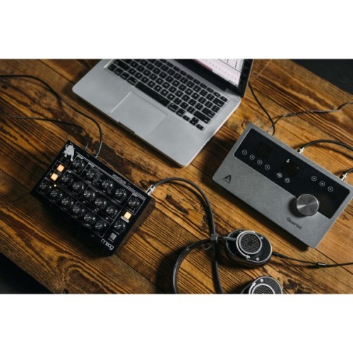Синтезатор Moog Music Minitaur (226127)