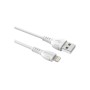 Дата кабель USB 2.0 AM to Lightning 1.0m 2.4A PVC BX51 white BOROFONE (6931474743909)