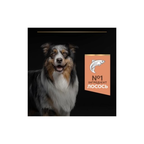 Сухий корм для собак Purina Pro Plan Dog Medium Adult Sensitive Skin з лососем і рисом 14 кг (7613035120464)