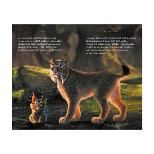 Книга Щоденник Мавки. Літо Ранок (9789667510770)