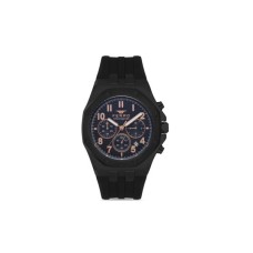 Наручний годинник Ferro FM31307D-G