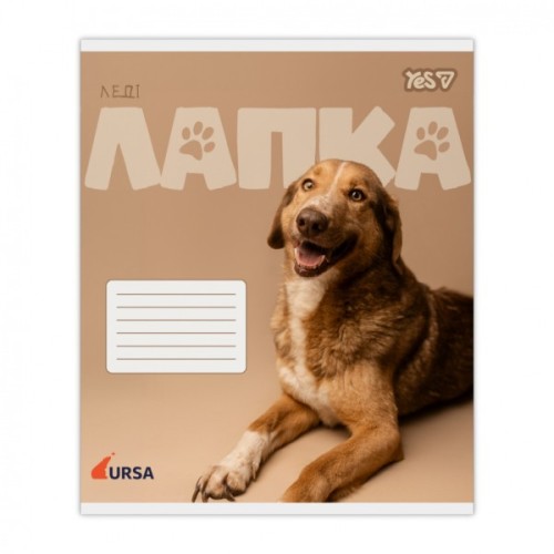 Зошит Yes Ursa А5 24 аркушів клітинка (768956)