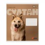 Зошит Yes Ursa А5 24 аркушів клітинка (768956)
