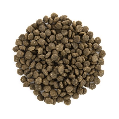 Сухий корм для собак Brit Care GF Mini Adult Lamb 2 кг (8595602520107)