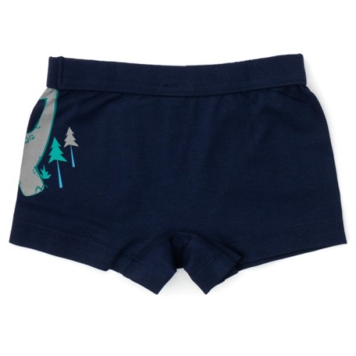 Труси дитячі Sevim набір (8011-116B-mix)