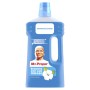 Засіб для миття підлоги Mr. Proper Квіти бавовни 1 л (4084500644847/8006540918968)