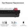 Клавіатура Keychron Q1 HE Magnetic Switch RGB UA Black (Q1H-M1-UA)