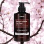Шампунь Kundal Natural Caffeine & Intensive Scalp Care Shampoo Cherry Blossom 500 мл (8809568745772)