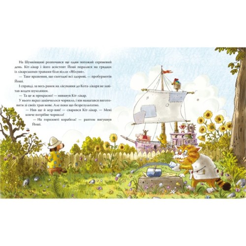 Книга Кіт-лікар. Подорож на острів скарбів. Книга 4 - Валько Видавництво РМ (9786178639686)