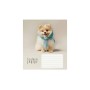 Зошит Школярик Star Fashion pets 12 аркушів клітинка (012-3687K)