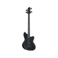 Бас-гітара Ibanez TMB420B BKF (236710)