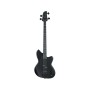 Бас-гітара Ibanez TMB420B BKF (236710)