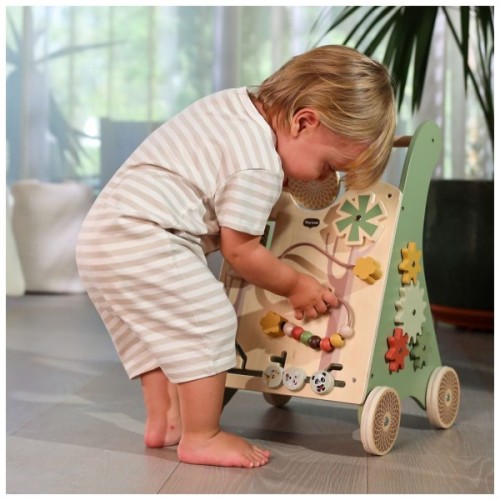 Ходунки Tiny Love Boho Chic 2 в 1 (15051006768)