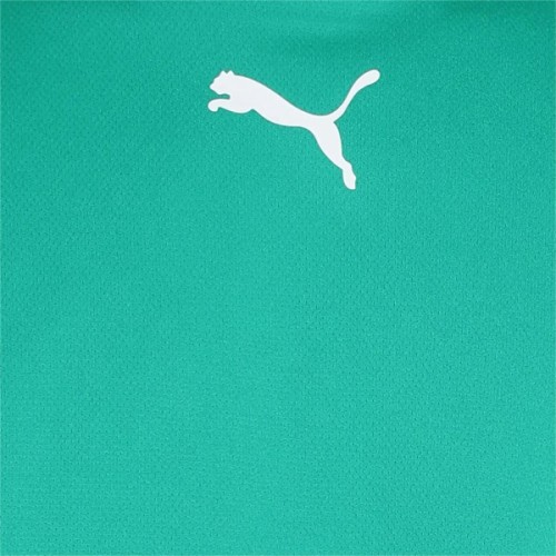 Футболка Puma teamRISE Jersey 704932-05 зелений S (4063699210309)