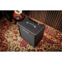 Комбопідсилювач Blackstar Debut Bass 25 (302021)
