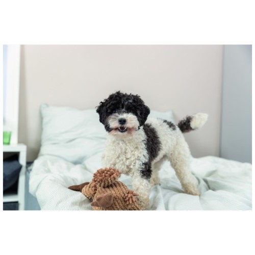 Іграшка для собак Trixie Гриф Густав Тканина і плюш 28 см (4011905359311)