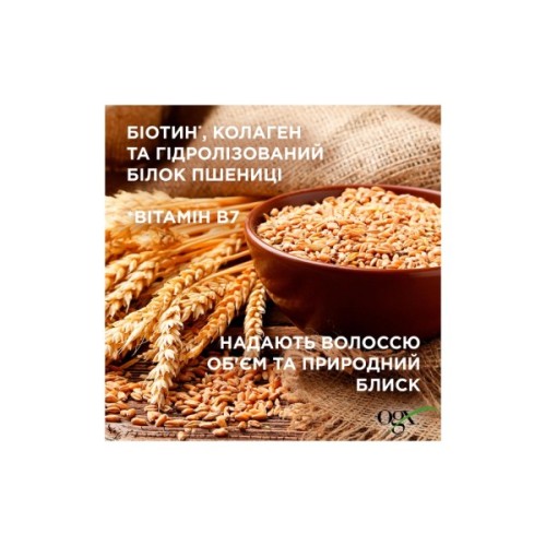 Набір косметики OGX Біотинова формула з колагеном для об'єму та зміцнення волосся Шампунь + Кондиціонер (3574661864952)
