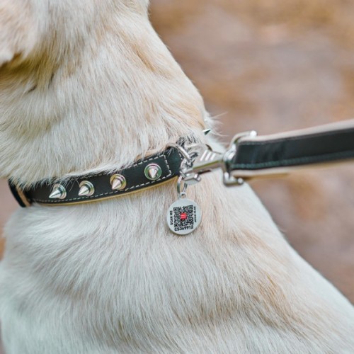 Нашийник для тварин WAUDOG Soft з QR паспортом з шипами Ш 35 мм Д 46-60 см чорний (7213)