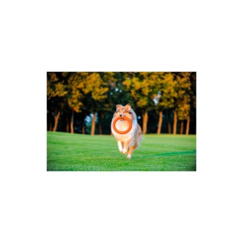 Іграшка для собак Collar PitchDog Кільце для апортування 28 см помаранчеве (62384)