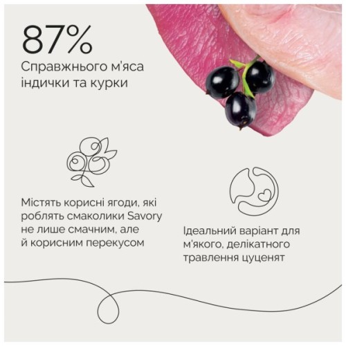 Ласощі для собак Savory Puppy Coins With Turkey 100 г (4820261921090)