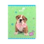 Зошит Kite Studio Pets, 24 аркуша, клітинка (SP26-238)