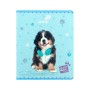 Зошит Kite Studio Pets, 24 аркуша, клітинка (SP26-238)