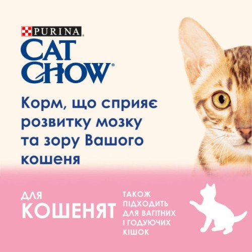 Сухий корм для кішок Purina Cat Chow Kitten з куркою 15 кг (5997204514028)
