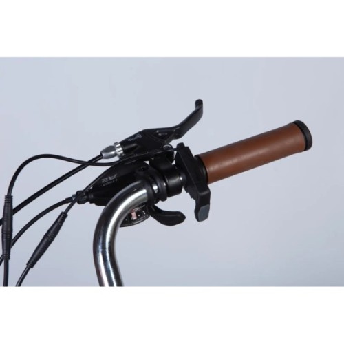 Електровелосипед Dorozhnik 28" eCORAL DD FR рама-19" 48B 13А*г 500Вт 2026 бронзовий (ELB-D-28-115)