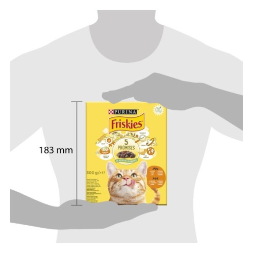 Сухий корм для кішок Purina Friskies з куркою та овочами 300 г (7613031868247)