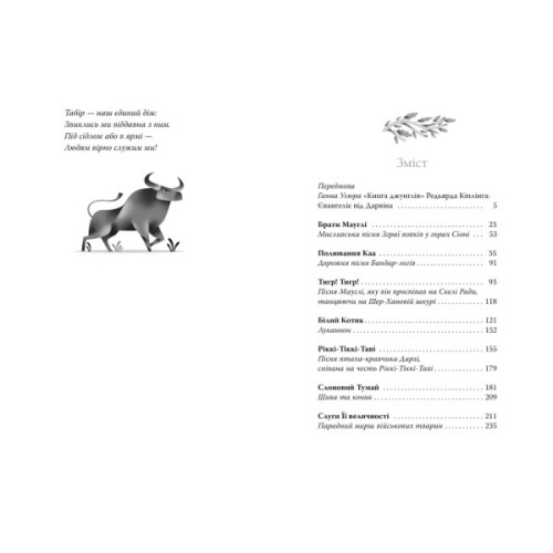 Книга Книга джунглів - Джозеф-Редьярд Кіплінг Видавництво РМ (9786178280857)