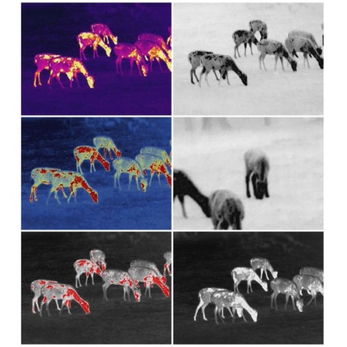 Монокуляр Guide Тепловізійний TrackIR 50mm 400x300px (747107)