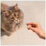 Ласощі для котів Carnilove Soft Snack Sardine with Strawberry 50 г (8595602582556)