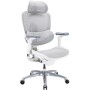 Офісне крісло Sihoo C300 LITE V2, White (C300-LITE-V2-B102)