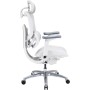 Офісне крісло Sihoo C300 LITE V2, White (C300-LITE-V2-B102)