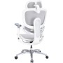 Офісне крісло Sihoo C300 LITE V2, White (C300-LITE-V2-B102)