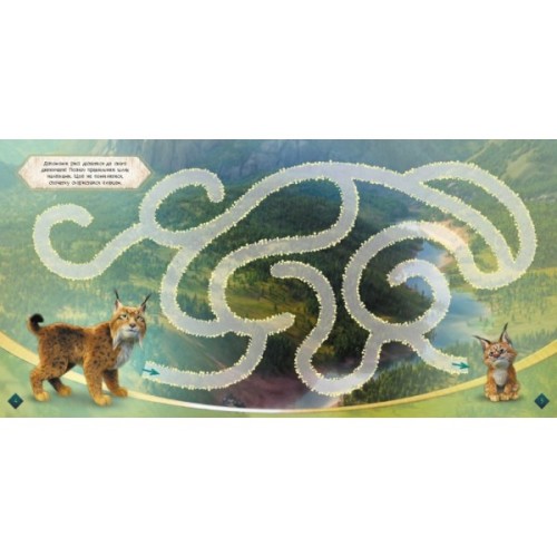 Книга Мавка. Лабіринти з наліпками. Загадковий світ Ранок (9786170989932)