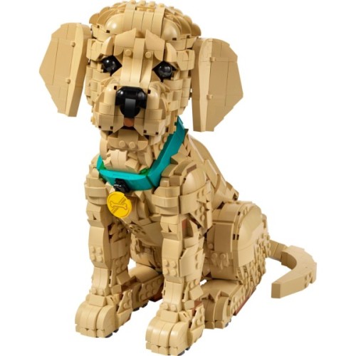 Конструктор LEGO Icons Цуценя золотистого ретривера (11384)