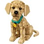 Конструктор LEGO Icons Цуценя золотистого ретривера (11384)