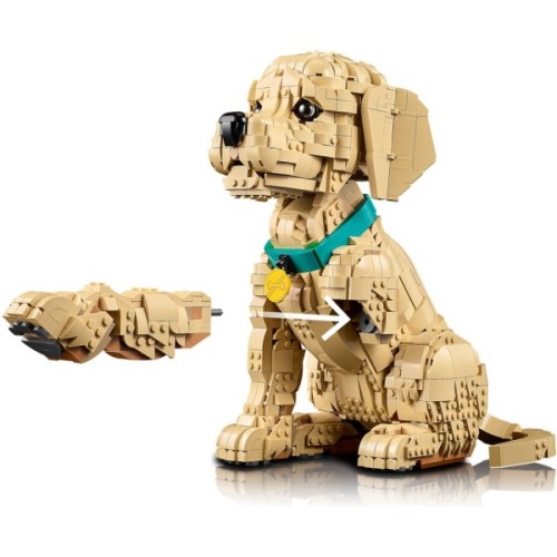 Конструктор LEGO Icons Цуценя золотистого ретривера (11384)