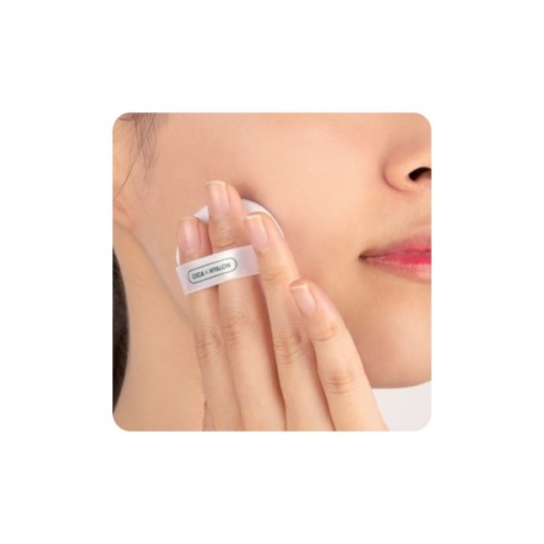 Пудра для обличчя VT Cosmetics Cica No Sebum Mild Powder Матувальна 5 г (8809695674273)