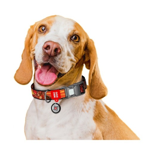 Нашийник для тварин WAUDOG Nylon з QR паспортом "Швидкість Флеша", пластиковий фастекс, S (280-1080)