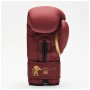 Боксерські рукавички Leone GN059X Bordeaux ED 12 oz (GN059X_BORDEAUX_12oz)