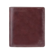 Гаманець Visconti TSC49 Matteo з RFID Brown (TSC49 BRN)