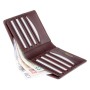 Гаманець Visconti TSC49 Matteo з RFID Brown (TSC49 BRN)