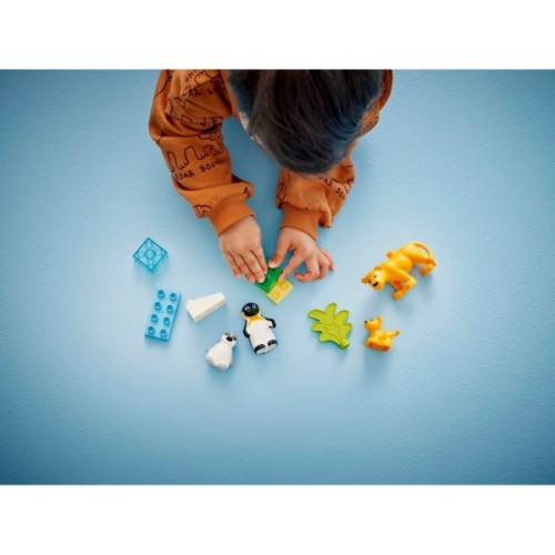 Конструктор LEGO DUPLO Town Сімейства диких тварин: Пінгвіни та Леви (10442)