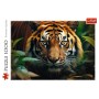 Пазл Trefl Дикий тигр 1000 елементів (5900511107982)